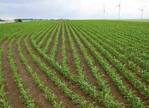 Decoration wooden present - Image 4